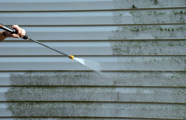 Best Pressure Washing Driveway  in Trappe, MD