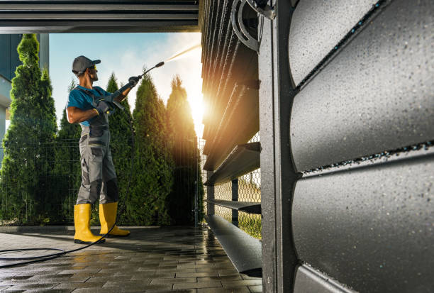 Best Sidewalk Pressure Washing  in Trappe, MD