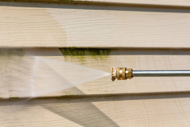 Best Pressure Washing Brick  in Trappe, MD